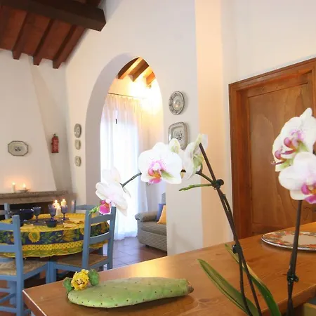 Apartment Appartmenti Il Micio Marina di Campo